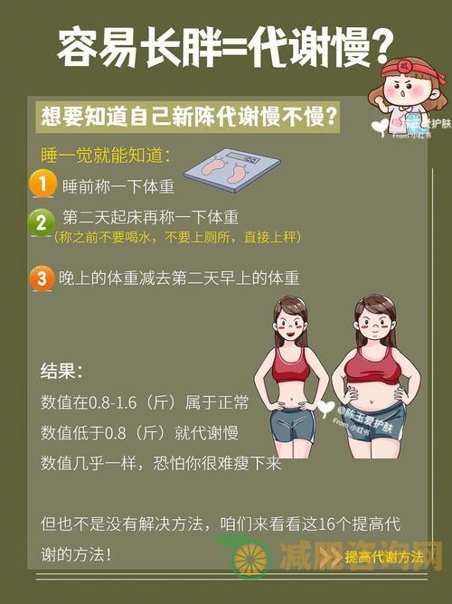 从易胖体质到健康身材——学生减肥方法探究-第2张图片-减肥咨询网