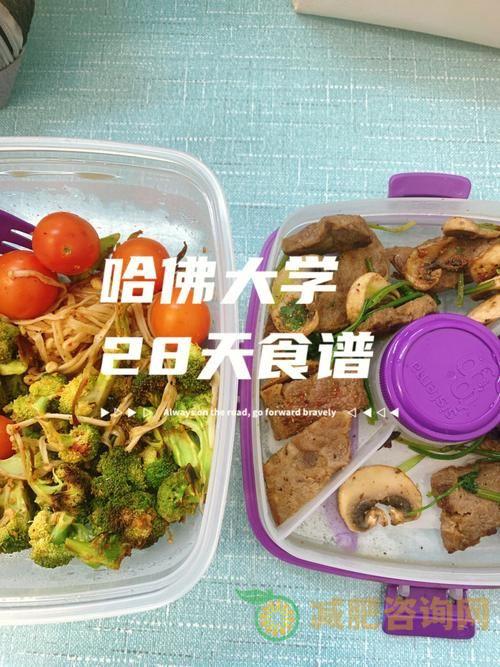 哈佛减肥食谱：一周瘦10斤不再是梦想-第2张图片-减肥咨询网