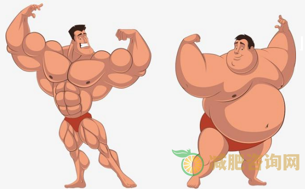 学会这些男士减肥运动,晚上在家就能健身-第1张图片-减肥咨询网 学会这些男士减肥运动,晚上在家就能健身-第1张图片-减肥咨询网