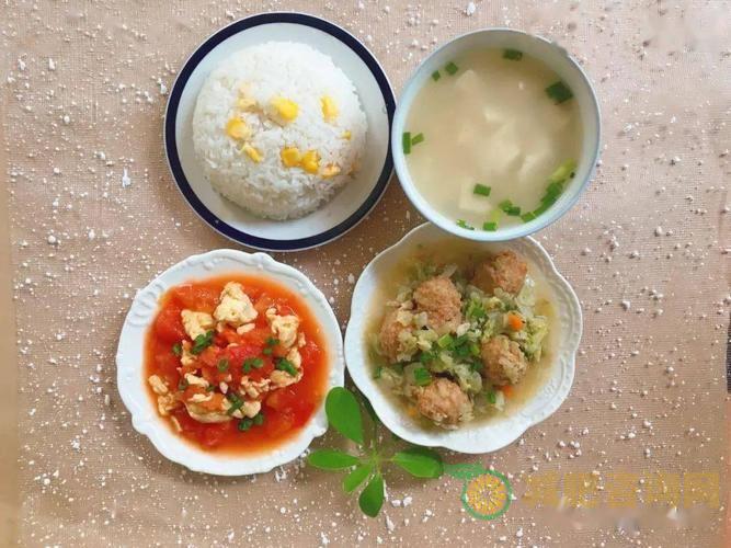 减肥食谱午餐吃什么？10种低卡、高蛋白的美食推荐-第2张图片-减肥咨询网