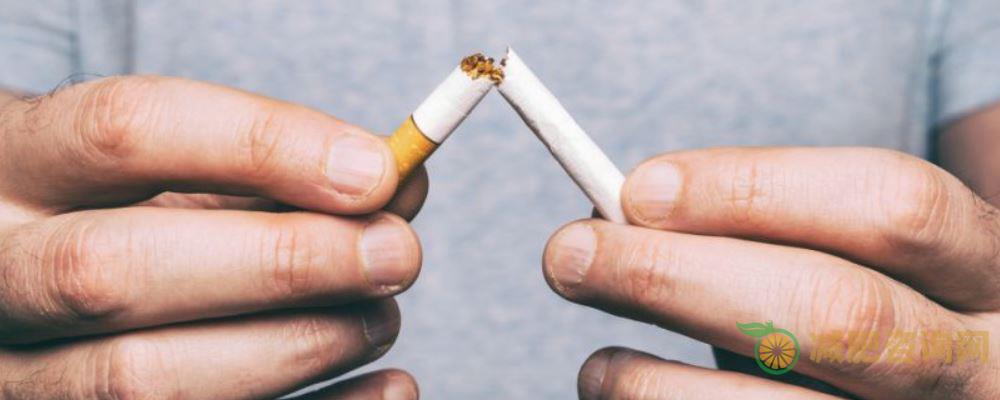 中年男人减肥好方法 控制饮食少吃夜宵-第3张图片-减肥咨询网