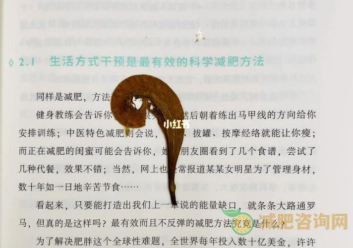 中年男人减肥方法-第1张图片-减肥咨询网