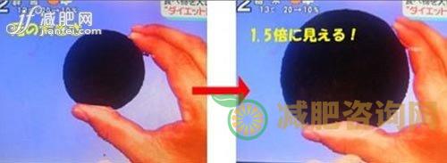 哥本哈根减肥食谱13天瘦多少？详细解析-第2张图片-减肥咨询网