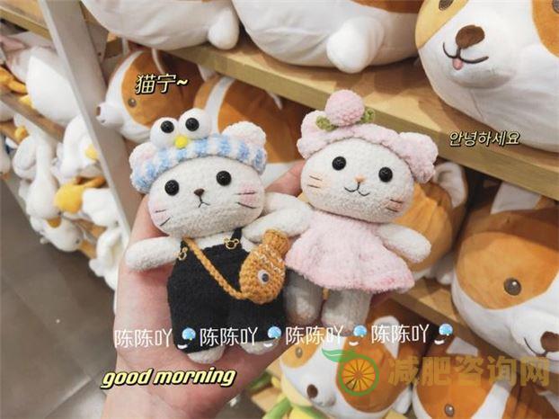 猫宁减肥操全套运动：让你的猫咪健康瘦身-第1张图片-减肥咨询网