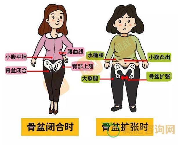 产后臀部怎么减肥-第1张图片-减肥咨询网