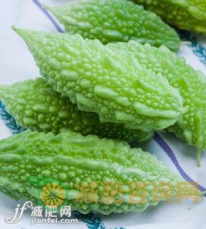 8款苦瓜减肥食谱-第4张图片-减肥咨询网