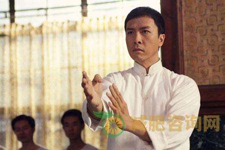 甄子丹一周瘦了6磅 减肥食谱曝光-第3张图片-减肥咨询网