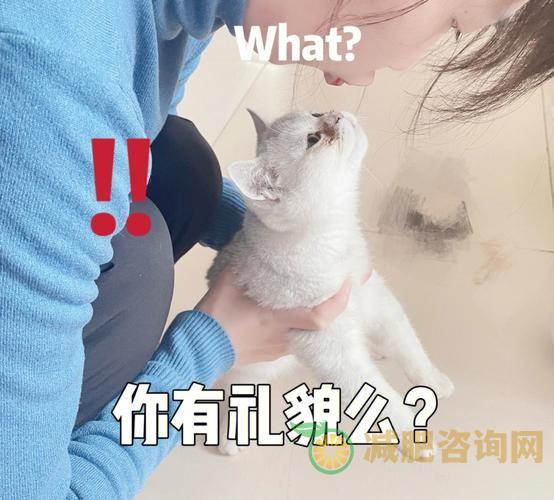 猫宁减肥食谱：让你的猫咪健康瘦身-第1张图片-减肥咨询网
