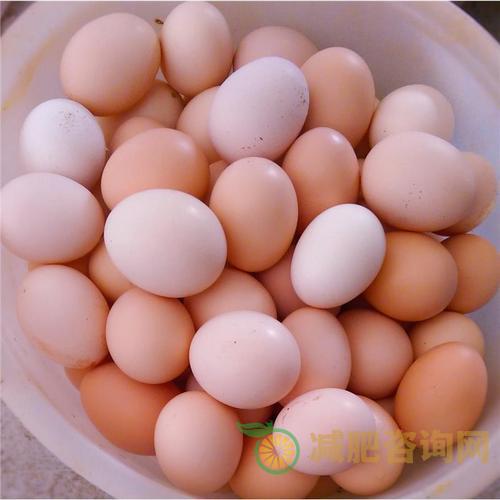 三款鸡蛋减肥食谱让你轻松享瘦-第1张图片-减肥咨询网 三款鸡蛋减肥食谱让你轻松享瘦-第1张图片-减肥咨询网