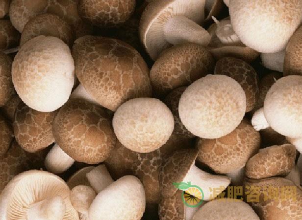 春季减肥食谱推荐，记住这几个东西-第1张图片-减肥咨询网