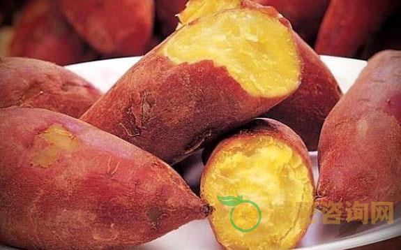 夏季减肥食谱一周瘦10斤科学减肥，迅速瘦身-第1张图片-减肥咨询网