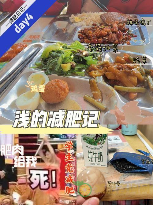 学生减肥的正确饮食指南-第1张图片-减肥咨询网