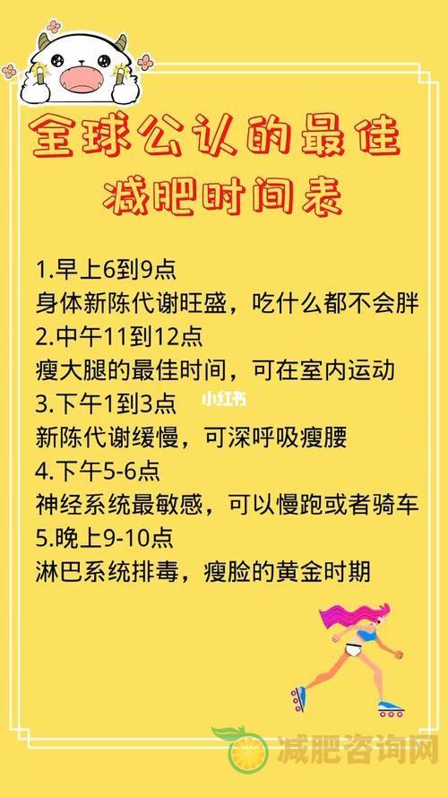 减肥运动时间表-第2张图片-减肥咨询网