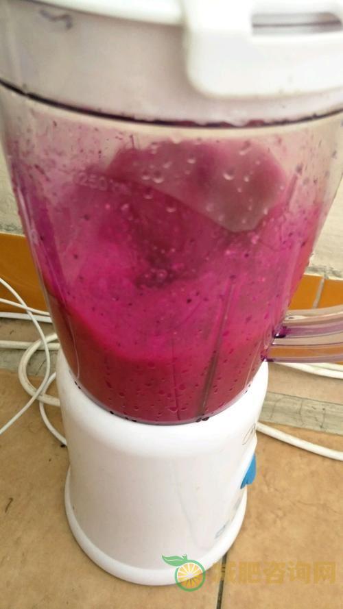 减肥水果汁食谱大全-第2张图片-减肥咨询网