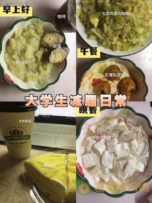 大学生减肥餐销售方法——让健康成为新时尚-第2张图片-减肥咨询网