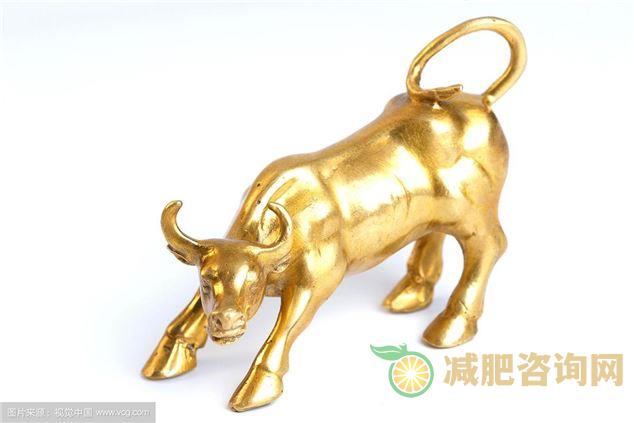 瘦狗金牛图表揭示明星减肥秘密-第1张图片-减肥咨询网