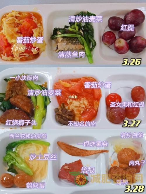 大学生减肥餐-第2张图片-减肥咨询网