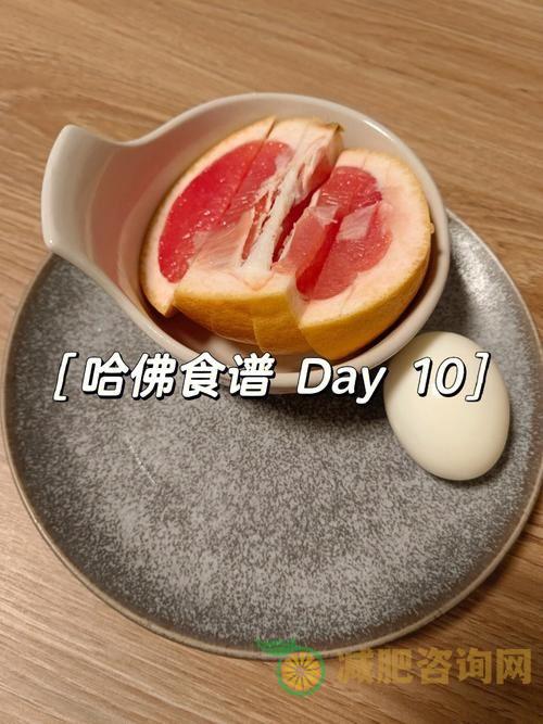 哈佛减肥食谱：科学健康的减肥方法-第2张图片-减肥咨询网