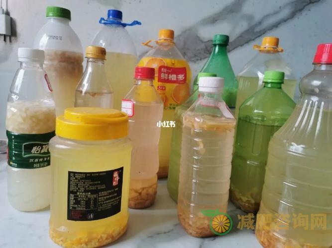 自制减肥水果酵素的做法-第2张图片-减肥咨询网