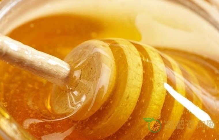 产后瘦身小妙招帮助恢复产前好身材-第1张图片-减肥咨询网
