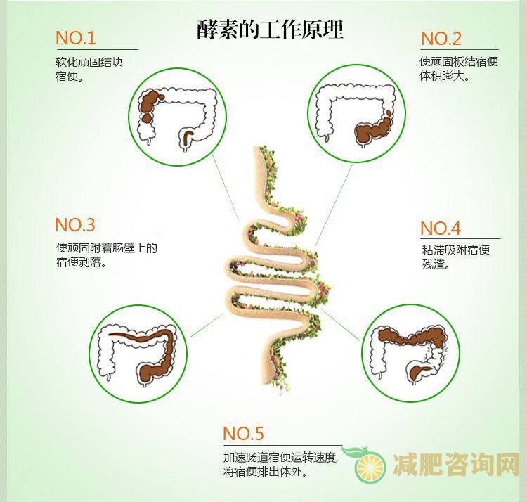 兰蔻清脂酵素怎么样 它可以不仅可以减肥还可以排毒养颜