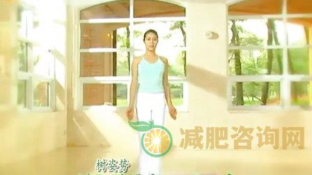 玉珠铉减肥瑜伽中文