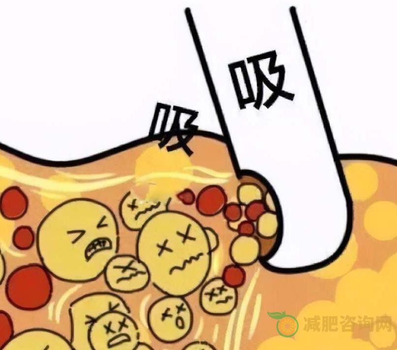 新妈妈产后减肥,怎么做会比较有效果-第1张图片-减肥咨询网