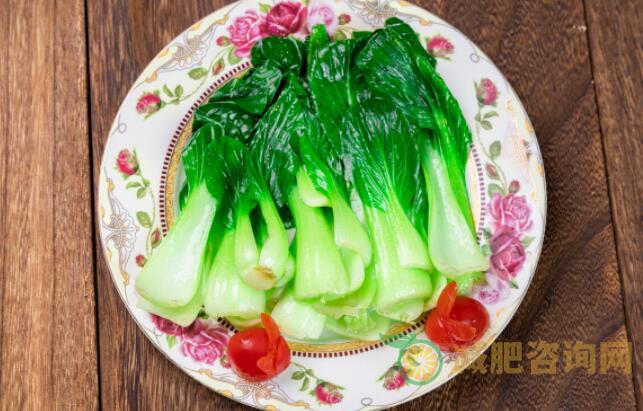 一日三餐减肥食谱推荐（三天减肥食谱让你边吃边瘦）-第2张图片-减肥咨询网