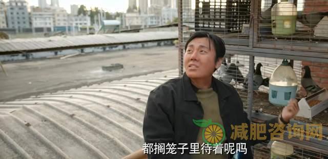 产后怎样减肥和小肚子：实用方法和注意事项-第2张图片-减肥咨询网