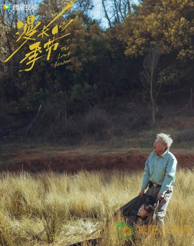 产后怎样减肥和小肚子：实用方法和注意事项-第48张图片-减肥咨询网