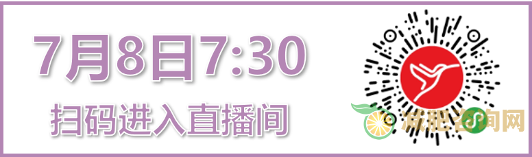 减肥操，让你轻松瘦身的必杀技！-第13张图片-减肥咨询网