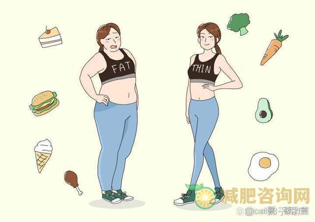 学生减肥晚餐吃什么比较好-第2张图片-减肥咨询网 学生减肥晚餐吃什么比较好-第2张图片-减肥咨询网