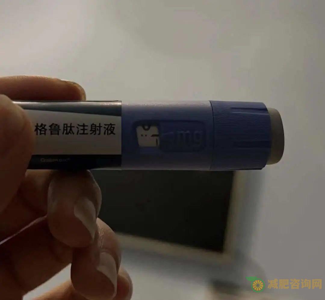 老年狗减肥餐：让你的宠物健康瘦身-第3张图片-减肥咨询网