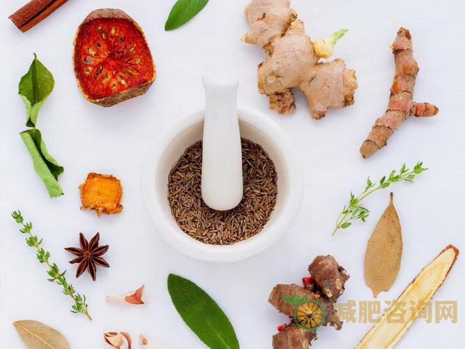 网红减肥食谱一日三餐：健康轻盈的生活方式-第1张图片-减肥咨询网