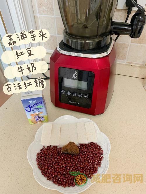 破壁机减肥食谱大全及做法：让你轻松瘦身！-第2张图片-减肥咨询网