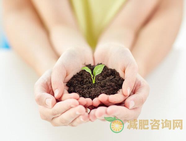 夏季男生减肥养食谱一周,健康营养的减肥食谱在这里-第2张图片-减肥咨询网 夏季男生减肥养食谱一周,健康营养的减肥食谱在这里-第2张图片-减肥咨询网