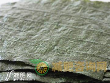 最有效的减肥运动方式-第3张图片-减肥咨询网 最有效的减肥运动方式-第3张图片-减肥咨询网