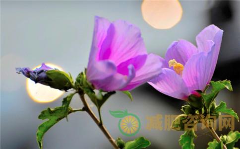 适用性超高的男士减肥食谱,别再被肥肉困扰了-第1张图片-减肥咨询网 适用性超高的男士减肥食谱,别再被肥肉困扰了-第1张图片-减肥咨询网