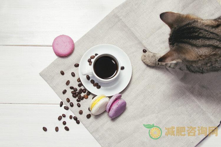 黑咖啡还能够减肥？减肥食谱送给你-第3张图片-减肥咨询网