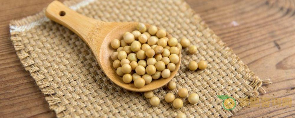 冬季最健康的五种减肥食谱-第1张图片-减肥咨询网