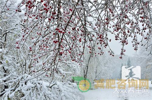 冬天的减肥食谱-第1张图片-减肥咨询网