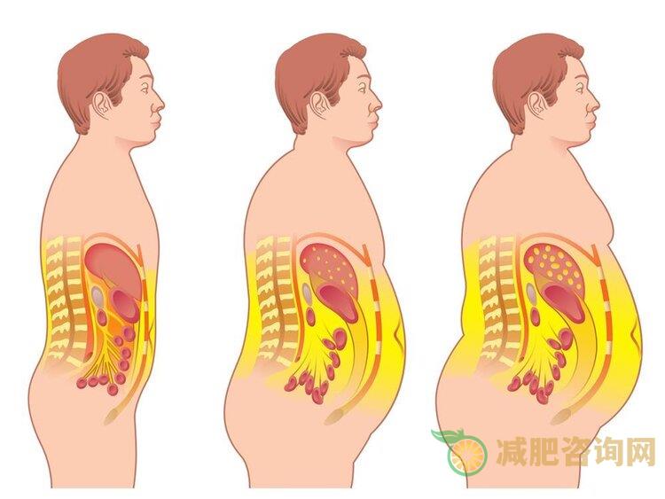 夏季哪些水果减肥快，想减肥可以吃哪些水果呢？-第1张图片-减肥咨询网