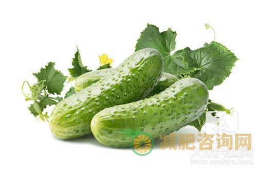 低卡路里食物减肥食谱-第2张图片-减肥咨询网