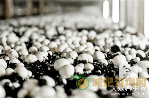减肥水果酵素包括哪些？-第1张图片-减肥咨询网