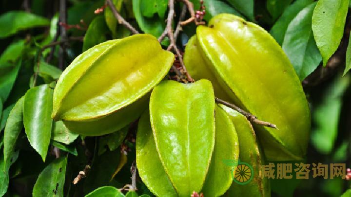 蜂蜜减肥食谱是常见的营养品 4种蜂蜜减肥食谱排毒养颜-第2张图片-减肥咨询网