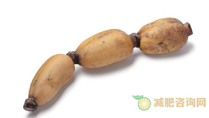 如何运动减肥？科学有效的6种减肥运动分享-第3张图片-减肥咨询网