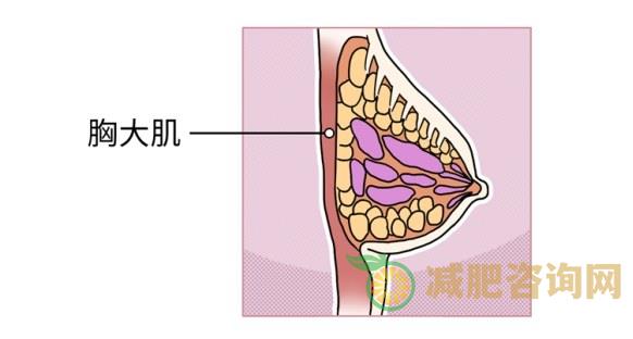 冬天明星减肥食谱,感兴趣就看看-第22张图片-减肥咨询网 冬天明星减肥食谱,感兴趣就看看-第22张图片-减肥咨询网
