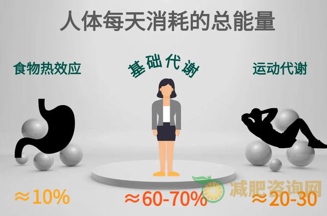 
	紫薯减肥法5天减十斤,紫薯能减肥,减肥能吃紫薯当主食吗
-第1张图片-减肥咨询网
