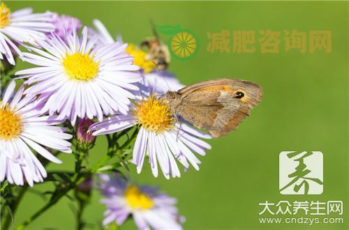  土贝母功效作用知多少，抗炎抗癌都有它 