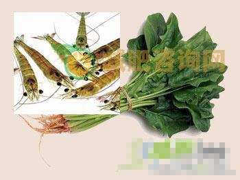 三款简易的菠菜、芦荟瘦身菜谱